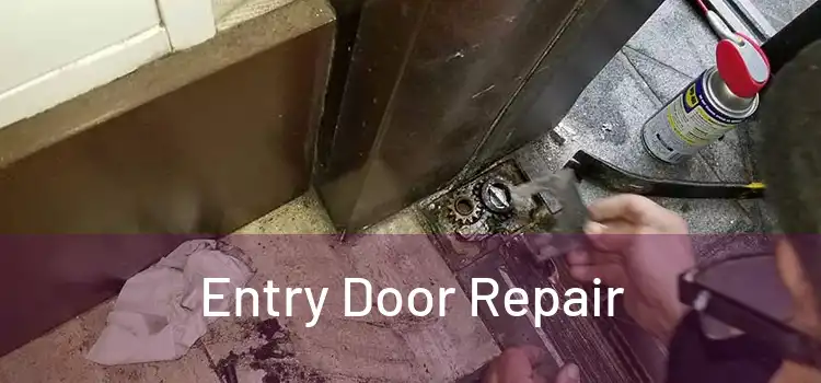 Entry Door Repair
